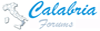 Logo CalabriaForum